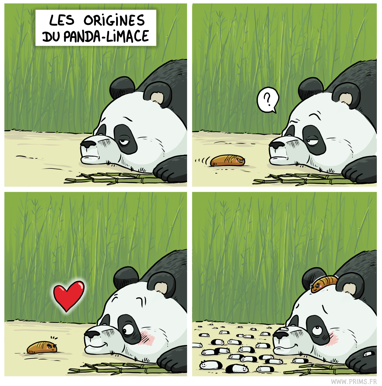 Dessin, BD : Les origines du panda-limace