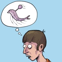 A quoi tu penses ?