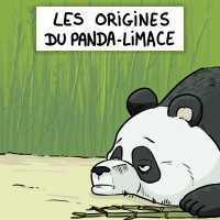 Dessin et BD : Les origines du panda-limace