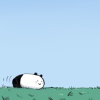 Le panda-limace fait du skate