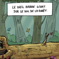 Le destin du vieux ch&ecirc;ne